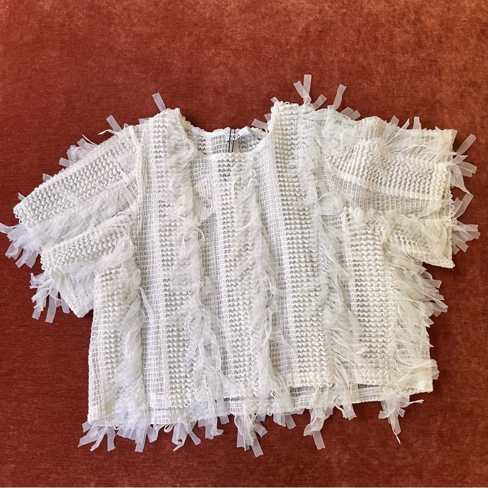 Zara Feathered Textured Top